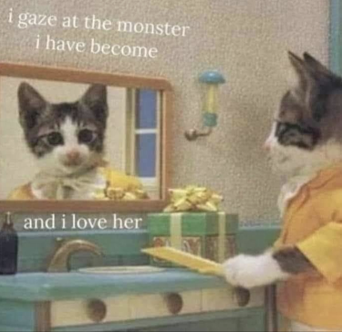 My feline friend*