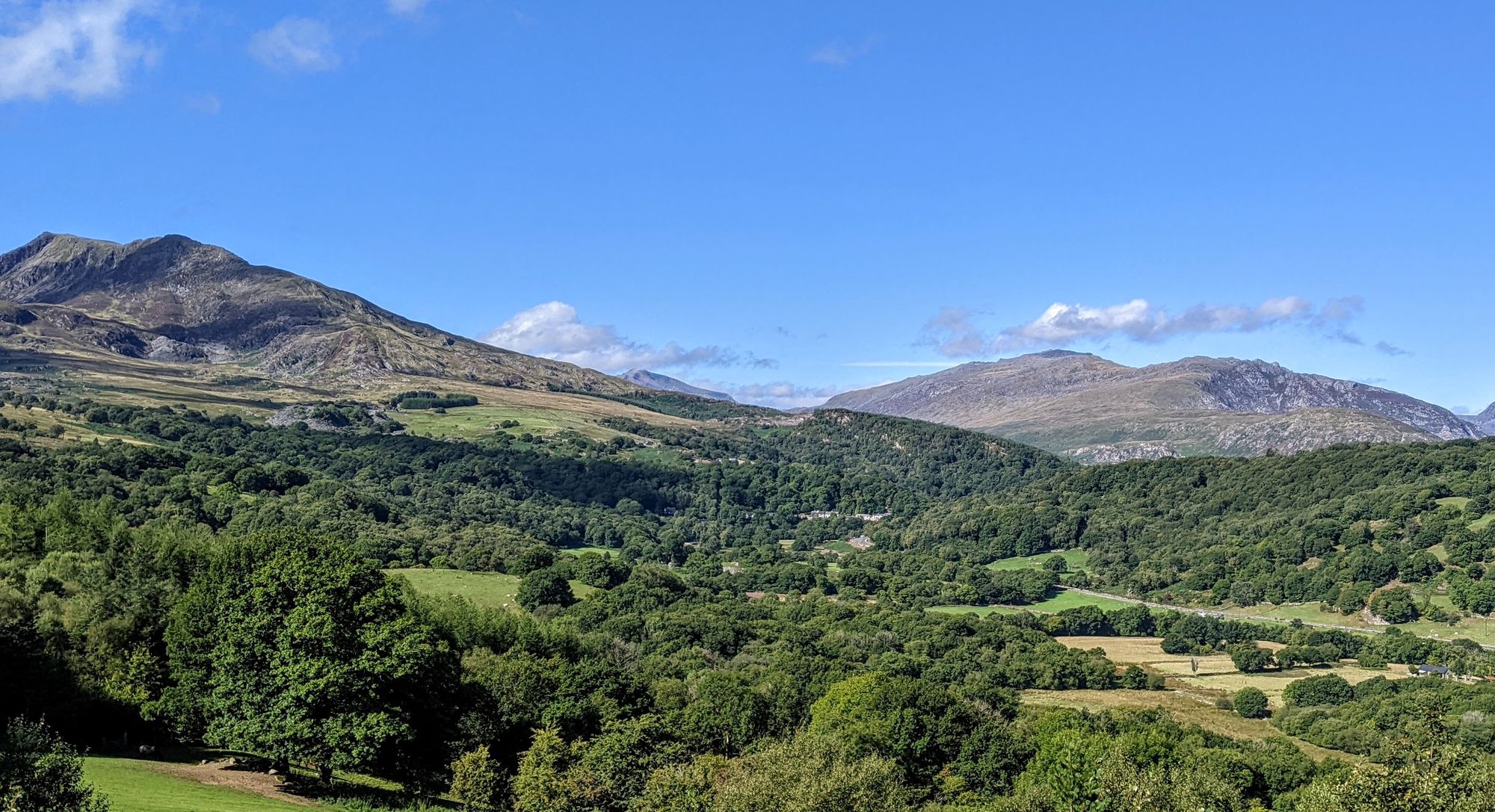 Green hills with luscious grass and trees.  Blue sky with a mountain in the distance